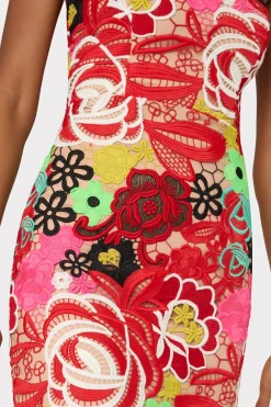 MILLY Evening Gowns-Multi Color Lace Dress Red Multi